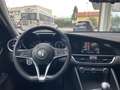 Alfa Romeo Giulia Giulia 2016 2.2 t Business 160cv my19 BELLISSIMA Blau - thumbnail 8