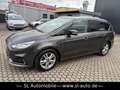 Ford S-Max 2.0 Eco Blue Aut. Titanium Navi Kam Grijs - thumbnail 11