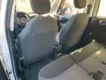 Fiat 500L 500L 2017 1.4 95cv E6 Bianco - thumbnail 14