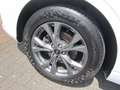 Ford Kuga ST-Line X, 1. Hand, GARANTIE Weiß - thumbnail 4