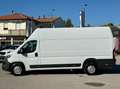 Fiat Ducato MAXI 35 XLH3 2.3 Multijet 130CV Bianco - thumbnail 8