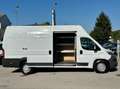Fiat Ducato MAXI 35 XLH3 2.3 Multijet 130CV Bianco - thumbnail 7