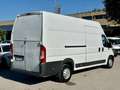 Fiat Ducato MAXI 35 XLH3 2.3 Multijet 130CV Bianco - thumbnail 10