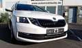 Skoda Octavia Style*SPORTPAKET*AHK*1.HAND*SCHECKHEFT*NAVI*TOP* Weiß - thumbnail 6