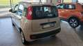 Fiat Panda Panda 1.2 Easy 69cv E6 5 Posti Beige - thumbnail 3