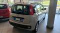 Fiat Panda Panda 1.2 Easy 69cv E6 5 Posti Beige - thumbnail 5