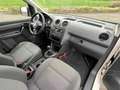 Volkswagen Caddy 2.0 TDI 110 CV 4x4 Targa EV537XE+”GANCIO” Bianco - thumbnail 13