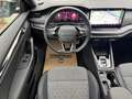 Skoda Octavia 1.5 TSI mHEV110 kW Sportline DSG Panorama*NAVI*AHV Schwarz - thumbnail 20