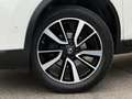 Nissan X-Trail X-Trail 1.6 dCi 2WD N-Connecta Blanc - thumbnail 6