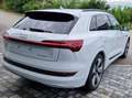 Audi e-tron e-tron 55 quattro 95kWh Weiß - thumbnail 5