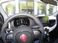 Fiat Panda Pandina III 2025 Cross Pandina Cross 1.0 hybrid s Bianco - thumbnail 5