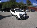 Fiat Panda Pandina III 2025 Cross Pandina Cross 1.0 hybrid s Bianco - thumbnail 2