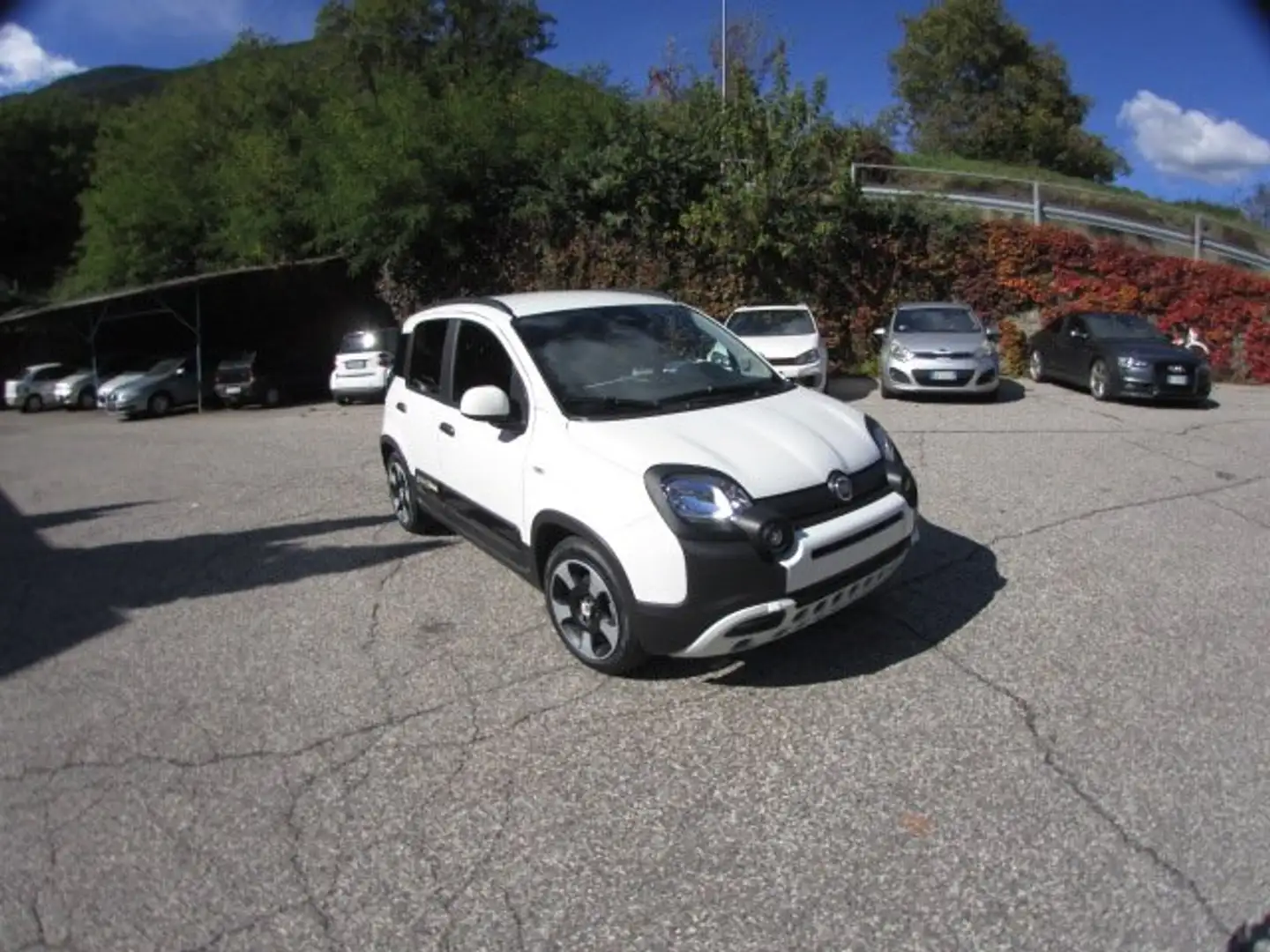 Fiat Panda Pandina III 2025 Cross Pandina Cross 1.0 hybrid s Bianco - 2