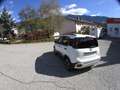 Fiat Panda Pandina III 2025 Cross Pandina Cross 1.0 hybrid s Bianco - thumbnail 6