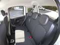 Fiat Panda Pandina III 2025 Cross Pandina Cross 1.0 hybrid s Bianco - thumbnail 9