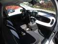 Fiat Panda Pandina III 2025 Cross Pandina Cross 1.0 hybrid s Bianco - thumbnail 8