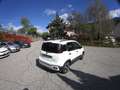Fiat Panda Pandina III 2025 Cross Pandina Cross 1.0 hybrid s Bianco - thumbnail 3