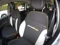 Fiat Panda Pandina III 2025 Cross Pandina Cross 1.0 hybrid s Bianco - thumbnail 11