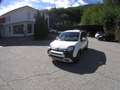 Fiat Panda Pandina III 2025 Cross Pandina Cross 1.0 hybrid s Bianco - thumbnail 1