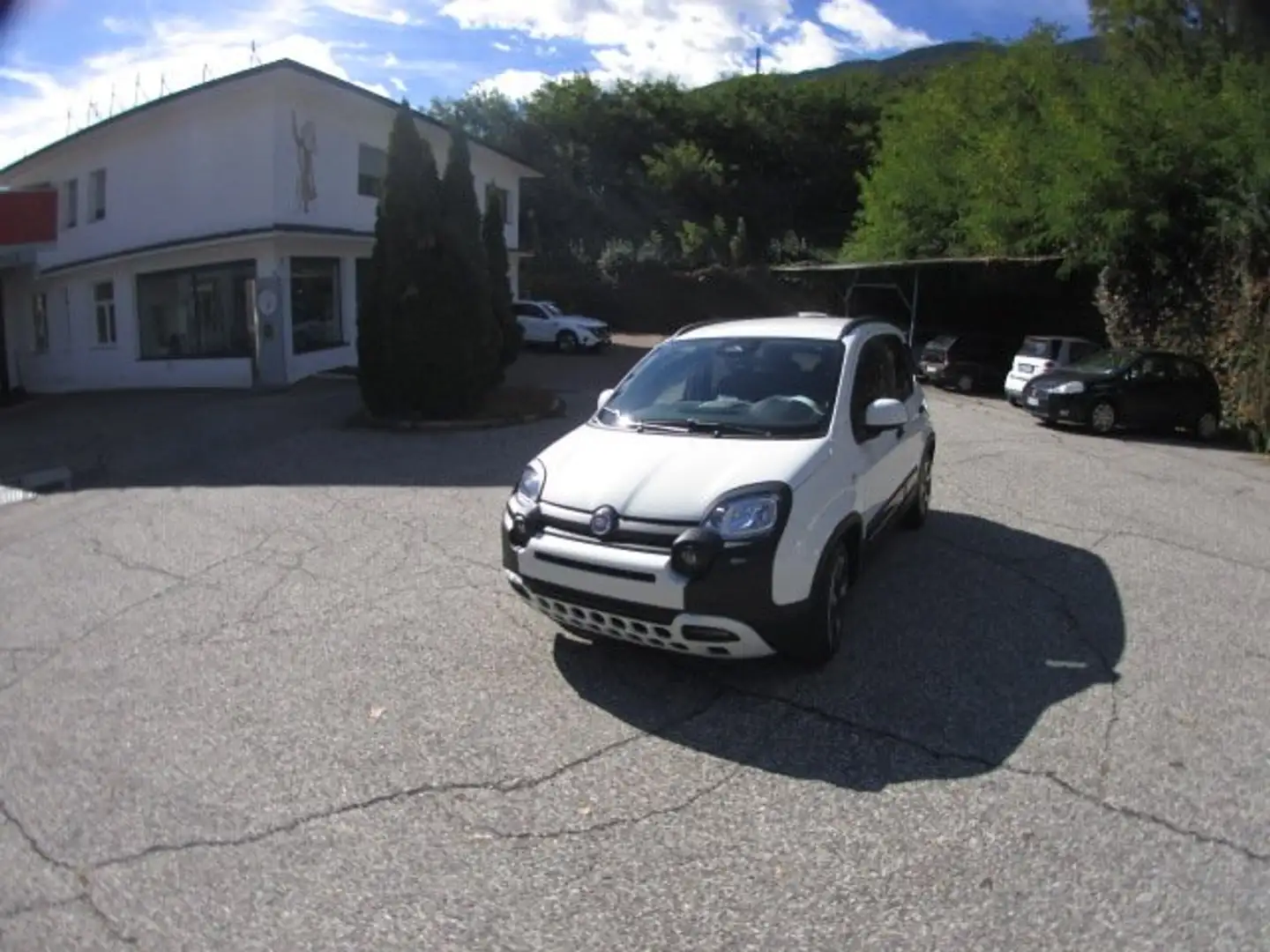 Fiat Panda Pandina III 2025 Cross Pandina Cross 1.0 hybrid s Bianco - 1
