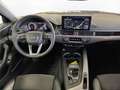 Audi A4 allroad A4 allroad 45 TFSI qu. AHK Pano Matrix LM 19" RF Grau - thumbnail 22