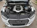 Audi A7 3.0 TDI Competition Quattro / Kamera / Head-UP Blanco - thumbnail 19