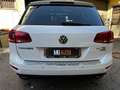 Volkswagen Touareg Touareg II 2010 3.0V6 tdi Executive 204cvtiptronic Bianco - thumbnail 7