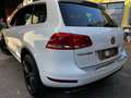 Volkswagen Touareg Touareg II 2010 3.0V6 tdi Executive 204cvtiptronic Bianco - thumbnail 8