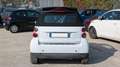 smart forTwo CABRIO 1.0cc 71cv AUTO Bianco - thumbnail 12