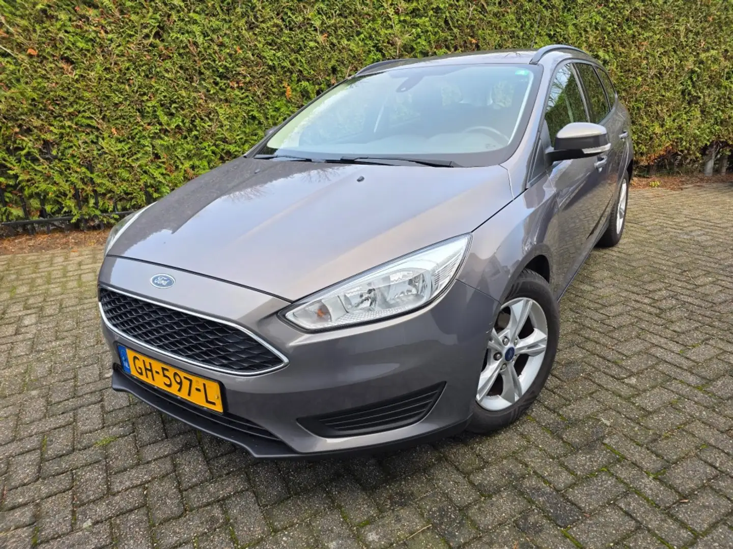 Ford Focus 1.0 Facelift, Nieuwe type navi scherm Brun - 1