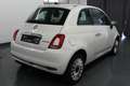Fiat 500 1.0 Dolcevita Panorama+Apple! Weiß - thumbnail 3