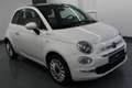 Fiat 500 1.0 Dolcevita Panorama+Apple! Weiß - thumbnail 4