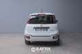 Fiat Panda Pandina 1.0 Firefly Hybrid 70CV Cross Blanc - thumbnail 5