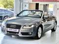 Audi A5 A5 Cabriolet 2.0 TDi 163cv Gris - thumbnail 8