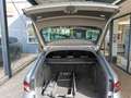 Skoda Superb Combi Sportline 4x4 2.0TDI DSG Matrix Nav Grau - thumbnail 8