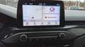 Ford Focus 1.5 EcoBlue ST-Line Grau - thumbnail 14