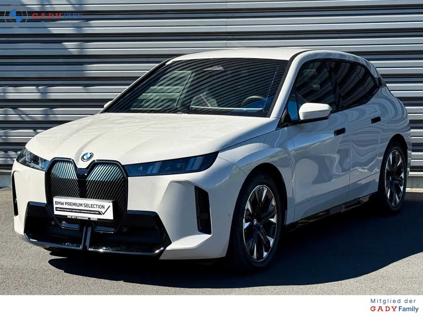 BMW iX xDrive45 M-Sportpaket Grau - 1