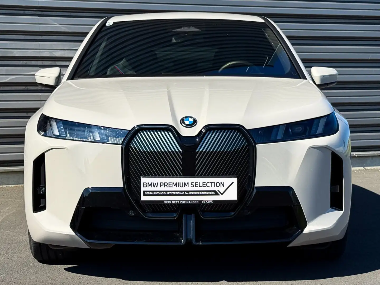 BMW iX xDrive45 M-Sportpaket Grau - 2