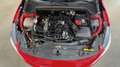 Ford Focus 1.0 Ecoboost MHEV 92kW Active Auto - thumbnail 12