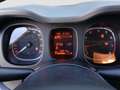 Fiat Panda 1.0 FireFly S&S Hybrid City Life Grigio - thumbnail 11