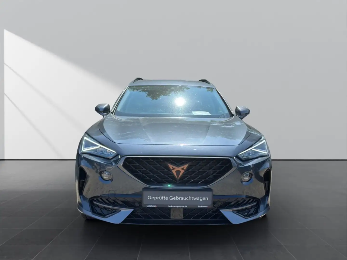 CUPRA Formentor 1.5*Navi*Winter*CarPlay*Kamera*19 Zoll* Grau - 2