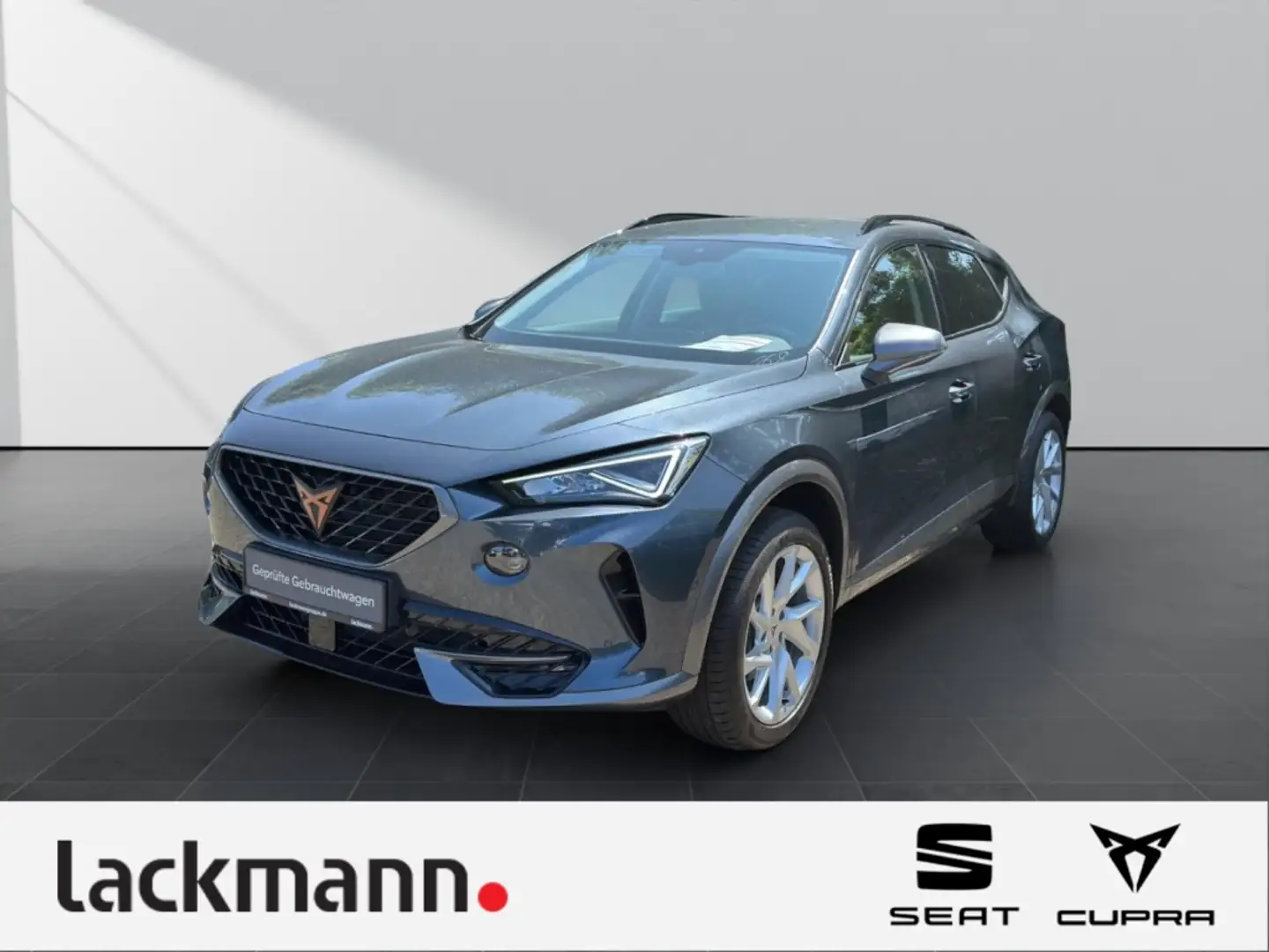 CUPRA Formentor 1.5*Navi*Winter*CarPlay*Kamera*19 Zoll* Grau - 1
