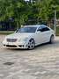 Mercedes-Benz S 500 Mercedes-BenzS 500/550L/S63 Optik AMG Line/S.Hef. Blanc - thumbnail 15