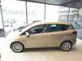 Ford B-Max 1.0 EcoBoost 100 CV Titanium Grigio - thumbnail 8