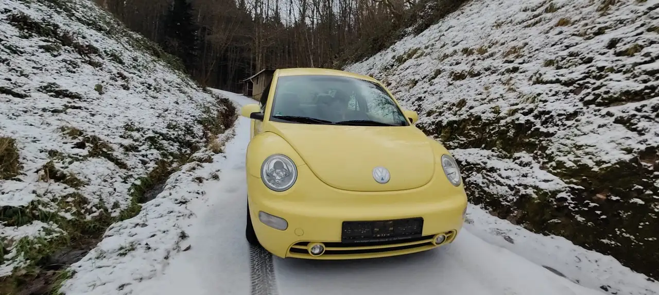 Volkswagen New Beetle 1.6 en vogue, foto 5