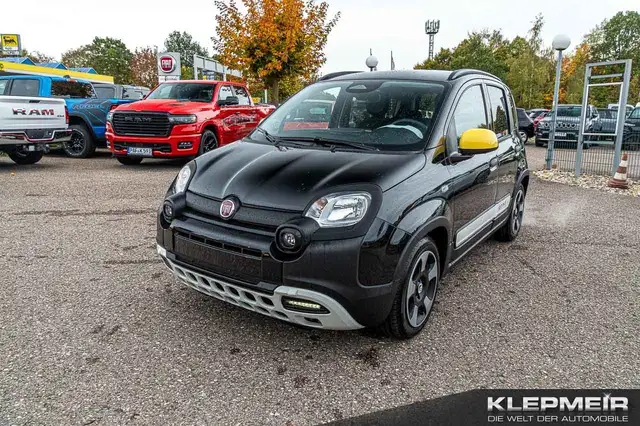 Fiat Pandina