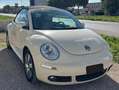 Volkswagen New Beetle New Beetle Cabrio Cabrio 1.9 tdi limited Red Editi Beige - thumbnail 1