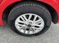Kia Picanto 1.0 Benzina 67CV E6 Neo. Automatica - 2020 Rosso - thumbnail 13