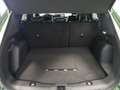 Ford Kuga ST-Line X 2.5 Duratec PHEV 178kW Auto Verde - thumbnail 25