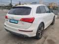 Audi SQ5 3.0TDI quattro Tiptronic 313 Blanco - thumbnail 5
